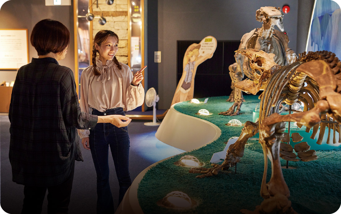 瑞浪市化石博物館の写真